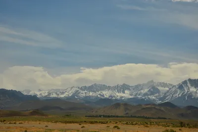 DSC_6592 (Large).JPG